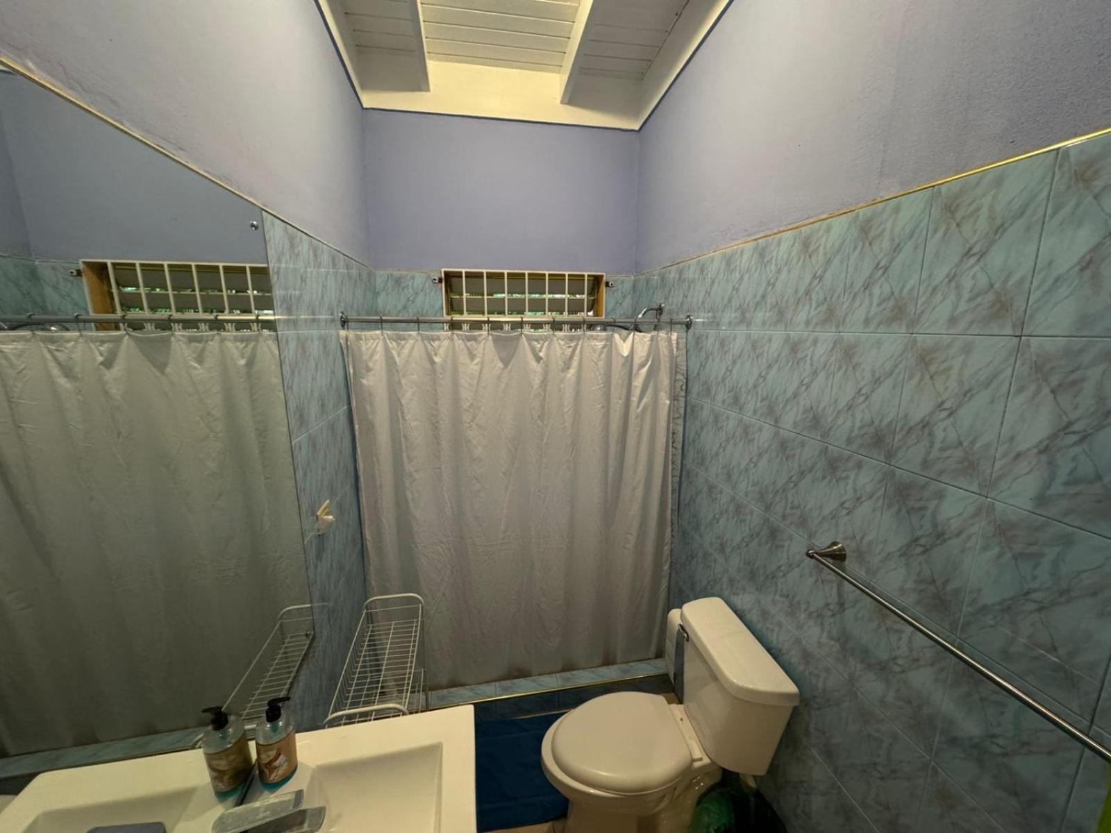Shalom Suite 2, Manor Park 金斯敦 外观 照片